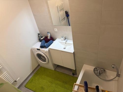 une salle de bain avec une machine à laver et un lavabo dans l'établissement Appartement Confort centre ville Saint-Louis Accès Bâle et Allemagne, à Saint-Louis