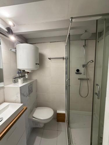 une salle de bain avec une douche, des toilettes et un lavabo dans l'établissement Studio COSY indépendant avec MEZZANINE - CALME à Gif-sur-Yvette, à Gif-sur-Yvette
