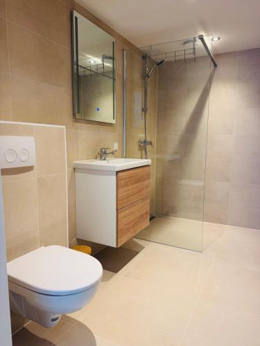 a bathroom with a toilet and a sink and a shower at Willem's Beachhouse in Noordwijk
