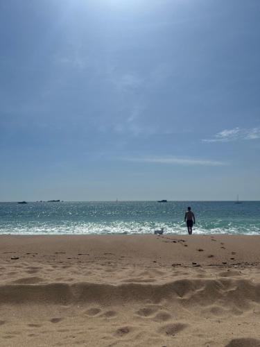 une personne se promenant sur une plage avec l'océan dans l'établissement Traum mit Meerblick, à Saint-Raphaël