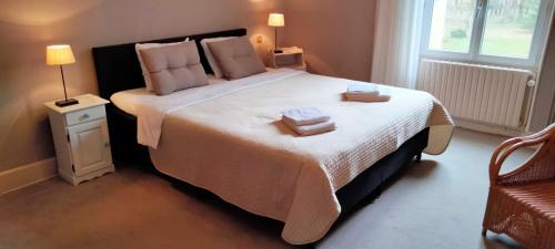 Ein Bett oder Betten in einem Zimmer der Unterkunft B&B Chateau La Séchère