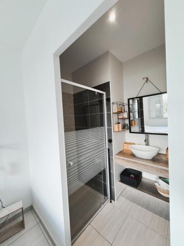 une salle de bain avec douche et lavabo dans l'établissement La Villa Bohème, à Narbonne