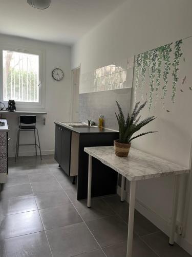une cuisine avec une table et une plante sur le mur dans l'établissement 3 - 5pers - Proche toutes commodités - quartier recherché - Court et long séjour - Cosy - Lumineux - Fonctionnel, à Toulon