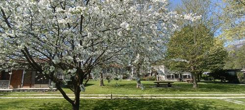 Cascina Borgofranconeにある庭