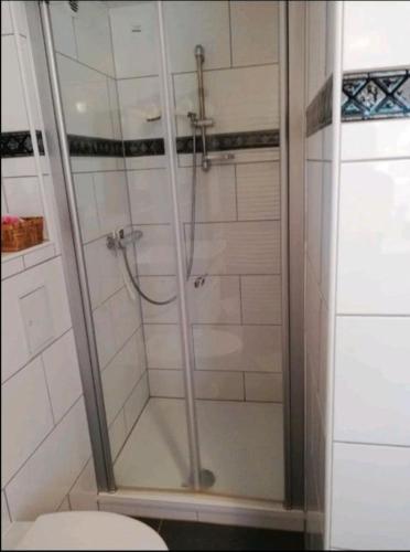 a shower stall in a bathroom with a toilet at Eselhof Oberlascheid in Oberlascheid