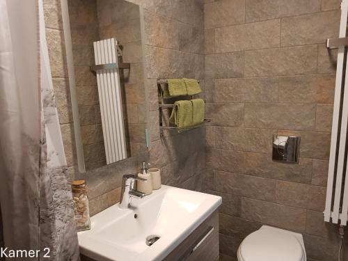 a bathroom with a sink and a toilet at Bed & Breakfast de Ruijter in Oud-Gastel