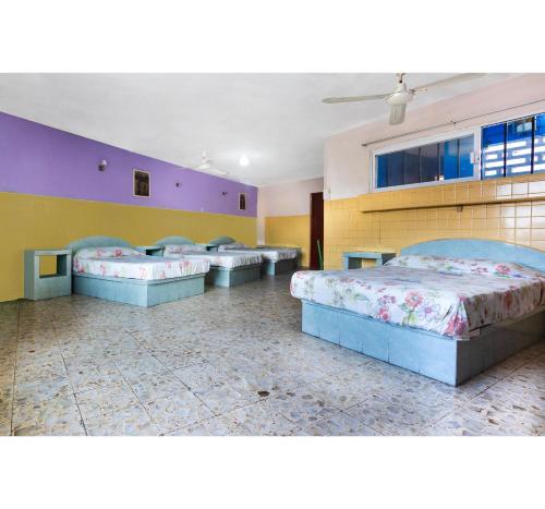 a row of beds in a room with purple and yellow walls at OYO Hotel San Martin in Veracruz