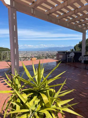 a plant on a patio with a view of a city at La Terrazza Quisisana Sorrento Coast in Castellammare di Stabia