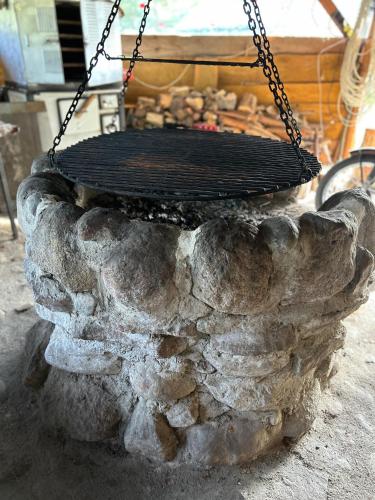 a stone fire pit with a chain around it at Forest Mood in Wieck