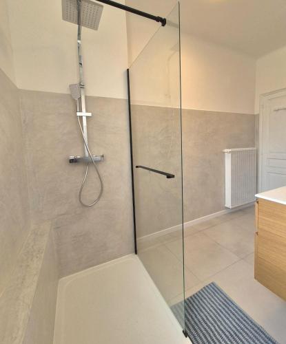 une douche avec une porte vitrée dans une salle de bain dans l'établissement Appartement Le Saint Pierre, à Arles
