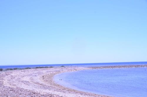 a view of a beach with the water at GIARDINO del MARE in Petrosino