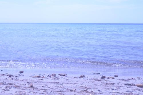 a beach with a body of water and the ocean at GIARDINO del MARE in Petrosino
