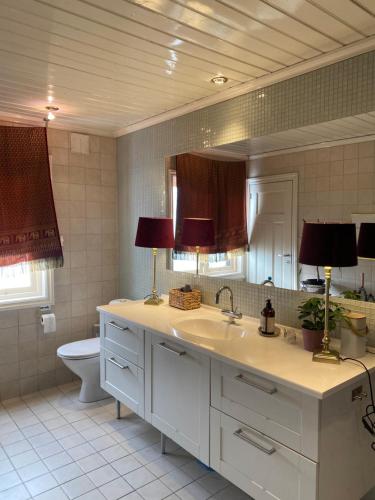 a bathroom with a sink and a toilet and a mirror at Château de Merli in Skien