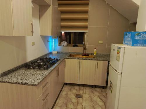 Cuina o zona de cuina de شاليه الاميرات