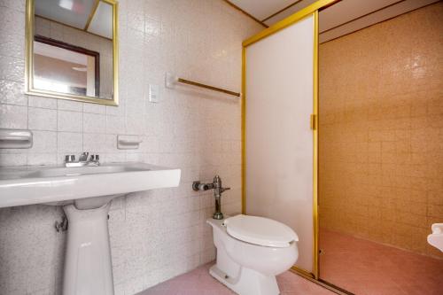 a bathroom with a toilet and a sink and a mirror at OYO Hotel Totonacapan, Papantla in Papantla de Olarte
