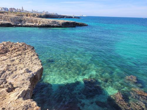 a view of the ocean from a cliff at Cala Paradiso in Monopoli