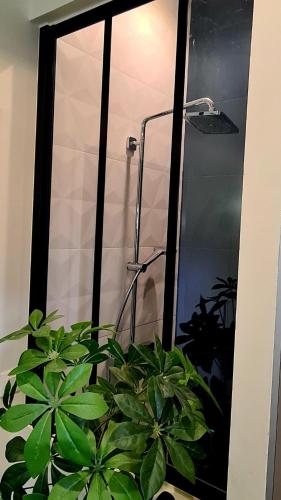 - une salle de bains avec des plantes devant une douche dans l'établissement Charmante maison de ville en pierre avec piscine, à Eysines