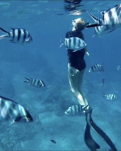 a woman standing in the water with a group of fish at Catamaran Z'ile cruise in Grand Baie