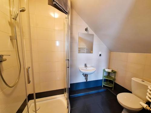 a bathroom with a shower and a sink and a toilet at Willa Maczek in Sztutowo