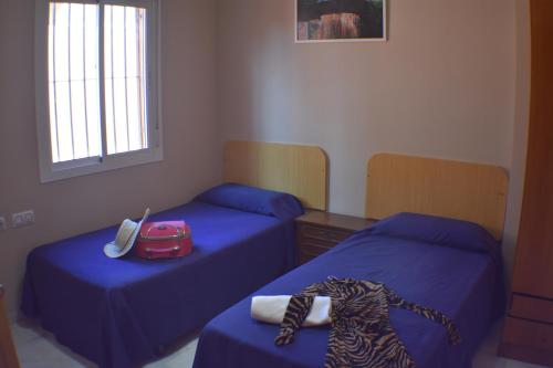 two beds in a room with blue sheets at Hostal Alamare in Seville