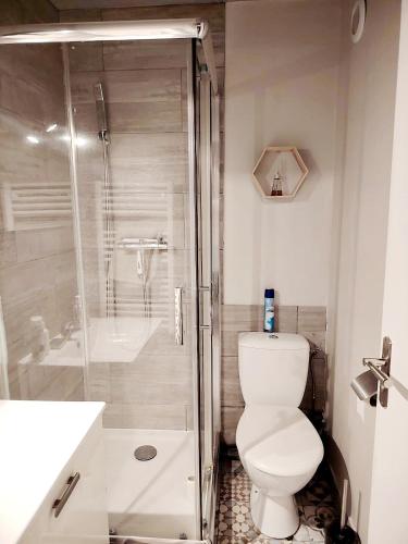une salle de bain avec une douche, des toilettes et un lavabo dans l'établissement M2M confortable studio cabine avec parking privé gratuit - 4 min à pied de la plage - hypercentre, à Blonville-sur-Mer