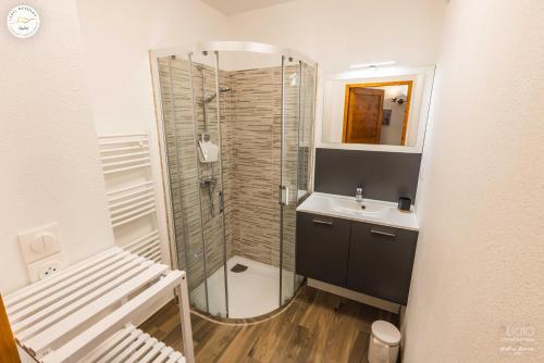 une salle de bain avec une douche en verre et un lavabo dans l'établissement Le Piolet - Vue montagne proche pistes, à Saint-Étienne-en-Dévoluy