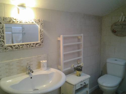 a bathroom with a sink and a toilet and a mirror at Jasmine cottage in Prinçay