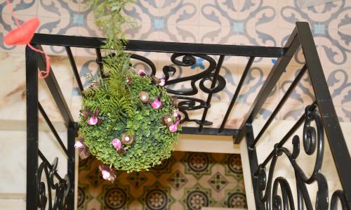 a plant hanging from a wrought iron railing at Residencial Terra de Mar Calpe, Grupo Terra de Mar, alojamientos con encanto in Calpe