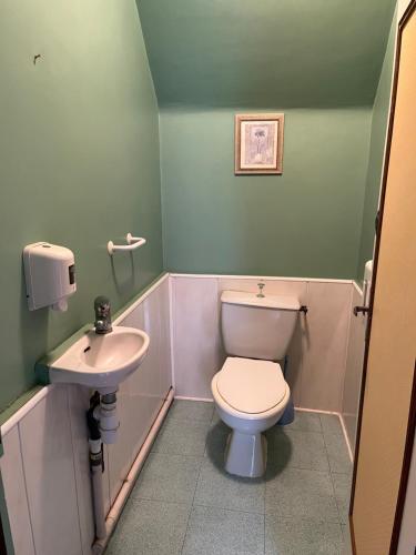 a bathroom with a toilet and a sink at Gîte-Auberge du Pont de Lanau in Neuvéglise