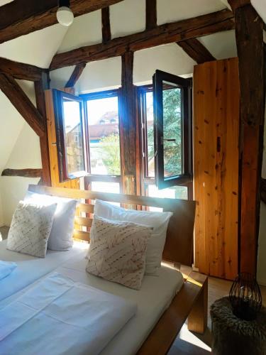 a bedroom with two beds in a room with windows at Ferienwohnungen Ostengasse 22 in Regensburg