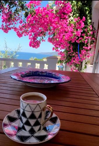 Sevinc Papatya House