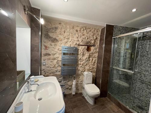 une salle de bain avec un lavabo, des toilettes et une douche dans l'établissement CANNES SUQUET beautiful Duplex, à Cannes