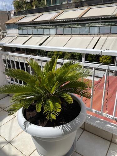 a plant in a white pot on a balcony at Qqueen House in Piraeus