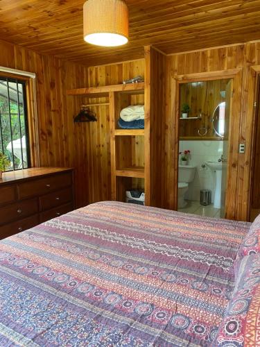 un dormitorio con una cama y un baño en Cabañas Antualen Casa 2, en Pucón