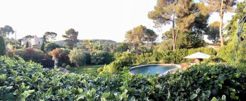 un jardin avec une piscine au milieu dans l'établissement Enjoy Mougins Villa, à Mougins