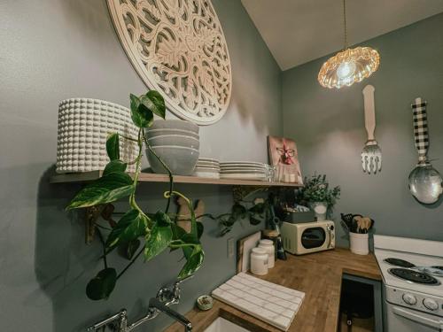 a kitchen with lots of plants on a shelf at Letchworth Farm Guesthouses in Nunda