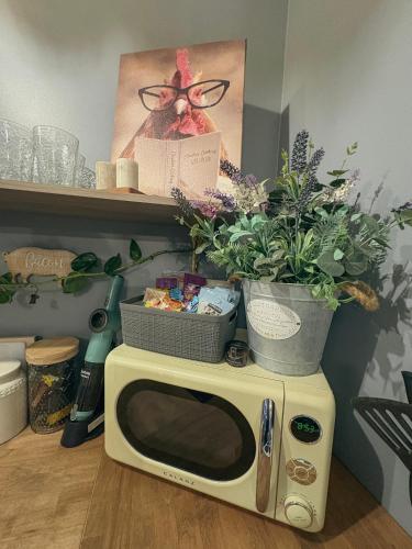 a microwave sitting on the floor with plants on it at Letchworth Farm Guesthouses in Nunda