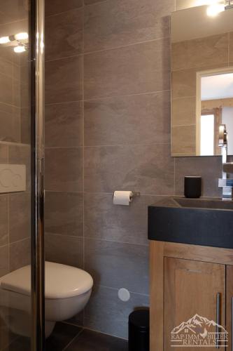 une salle de bain avec toilettes, lavabo et miroir dans l'établissement Cocon luxueux Le Cristal, pied de pistes, 10 couchages, à Saint-Martin-de-Belleville