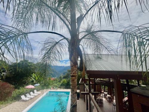 Πισίνα στο ή κοντά στο Villa Camila Hostel