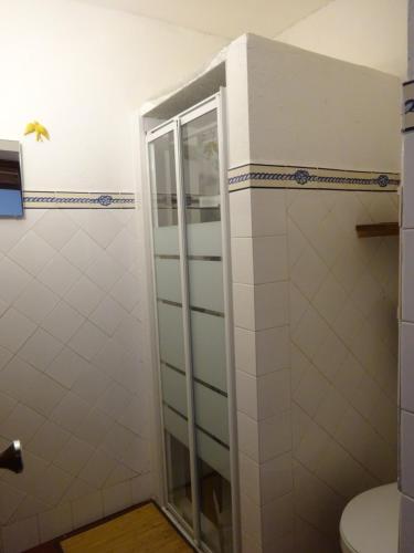 a bathroom with a shower and a toilet at New Village in Vila Nova da Baronia
