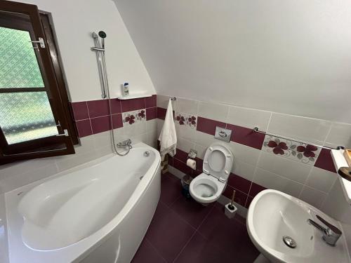 Koupelna v ubytování Vila Bradul Tarcău