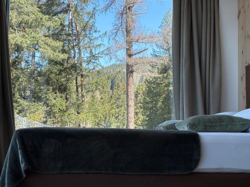 a couch sitting in front of a large window at Chalet Tschattlhof Dolomites in Ponte Nova