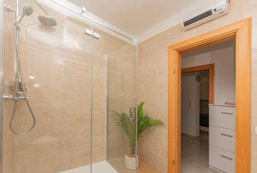 ein Badezimmer mit einer Dusche und einer Pflanze darin in der Unterkunft Apartment Ivanka in Omiš