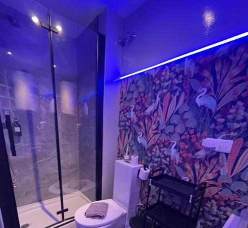 a bathroom with a shower and a toilet in a room at Apartamentos de la Luz in Granada