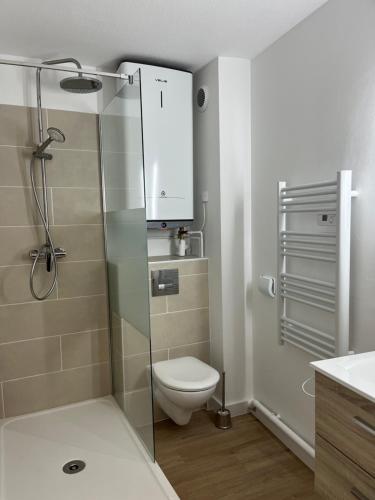 une salle de bain avec toilettes et douche en verre dans l'établissement Le Cocon - Climatisation, Balcon, Wifi, Beaux Arts, à Montpellier