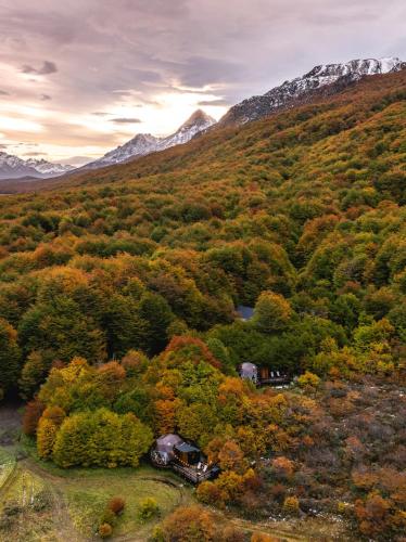 an aerial view of a forest with mountains at DOMO en Ushuaia Glamping in Ushuaia