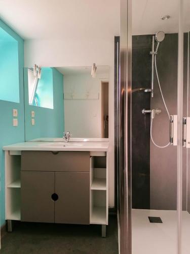 a bathroom with a sink and a shower at Le gar in Labarthe-Rivière