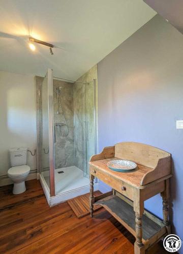 a bathroom with a shower and a toilet and a table at Le cagire in Labarthe-Rivière