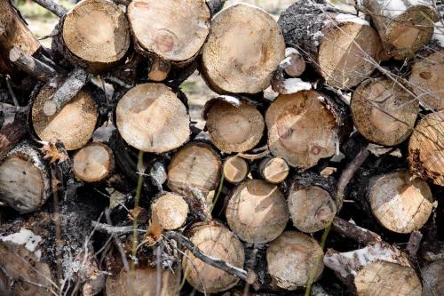 a pile of wood stacked on top of each other at Cinders Whispering Waters and Wilderness Escape in Beulah
