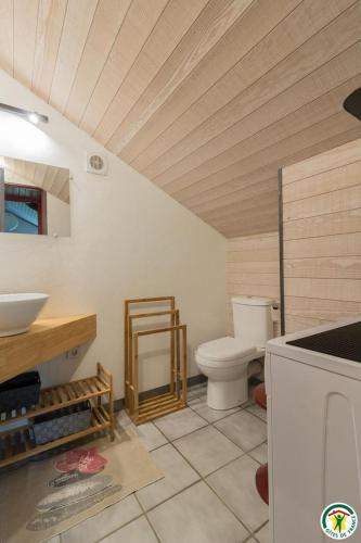 a bathroom with a toilet and a sink at Le gîte de la coume in Garin